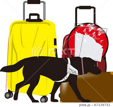 税関 税関 67139732