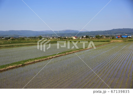 北海道の風景・石狩平野の田園風景 北海道の風景・石狩平野の田園風景 67139835