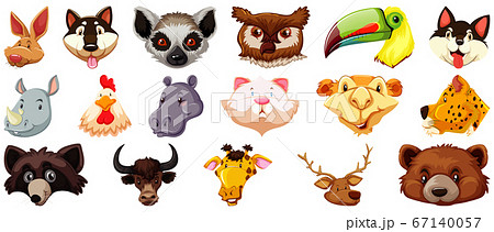 Set of different cute cartoon animals head huge 67140057