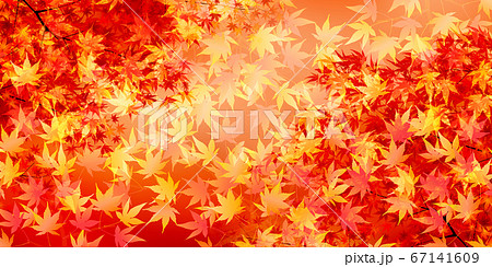 紅葉　もみじ　秋　背景 67141609
