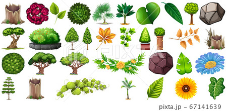 Set of different nature isolated on white Set of different nature isolated on white 67141639