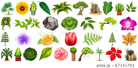 Set of different nature isolated on whiteのイラスト素材 [67141703] - PIXTA