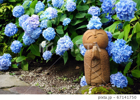 紫陽花とお地蔵様 67141750
