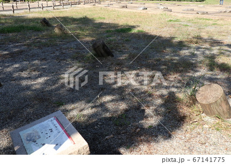 武蔵国分尼寺の風景 67141775