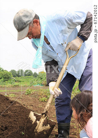 じゃがいもを収穫する家族 じゃがいもを収穫する家族 67142012