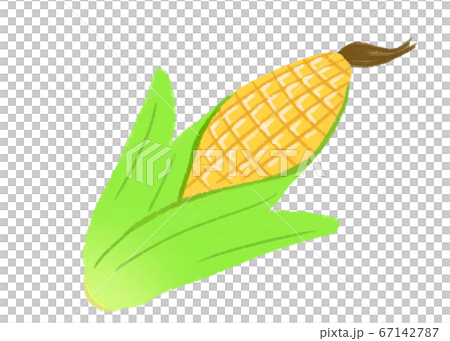 corn  67142787
