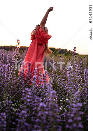 Young pretty woman wearing red dress posing in fields with violet flowers outdoor 67142955