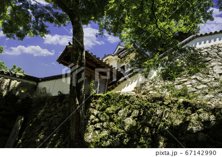 備中松山城　本丸東御門　岡山県高梁市 67142990