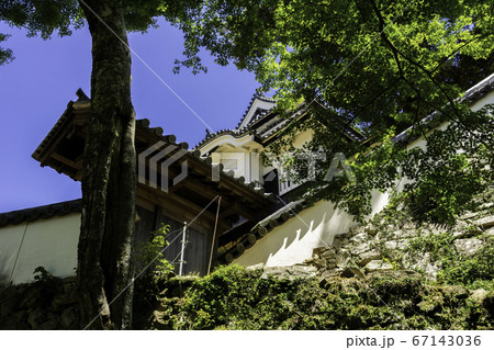 備中松山城 本丸東御門 岡山県高梁市 備中松山城 本丸東御門 岡山県高梁市 67143036