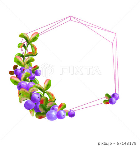 A geometric frame with ripe irgi berries on a white background is isolated. Graphic element. Watercolor illustration A geometric frame with ripe irgi berries on a white background is isolated. Graphic element. Watercolor illustration 67143179