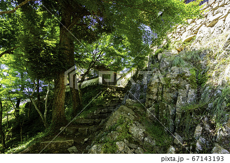 備中松山城　腕木御門　岡山県高梁市 67143193