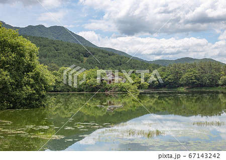 夏 湖 風景 67143242