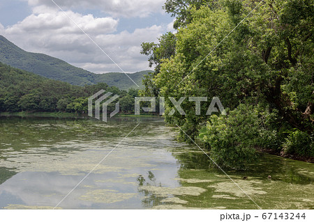 夏 風景 上記日向 67143244
