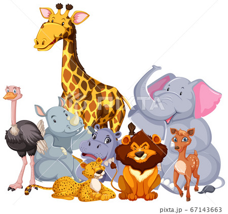 Group of wild animals Group of wild animals 67143663