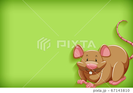 Background template with plain color and brown Background template with plain color and brown 67143810