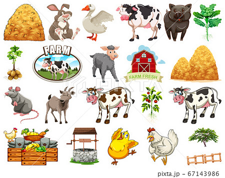 Set of farm element 67143986