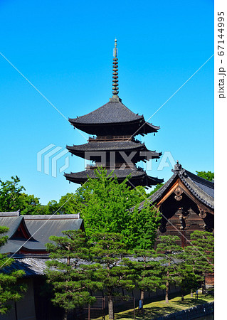 京都 東寺 京都 東寺 67144995