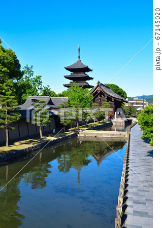 京都 東寺 京都 東寺 67145020