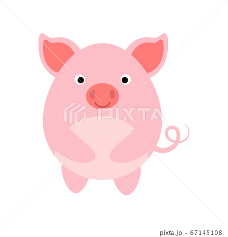 Cute flat design pig isolate on white background. Cute flat design pig isolate on white background. 67145108