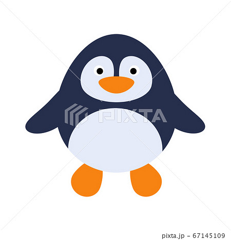 Cute flat design penguin isolate Cute flat design penguin isolate 67145109