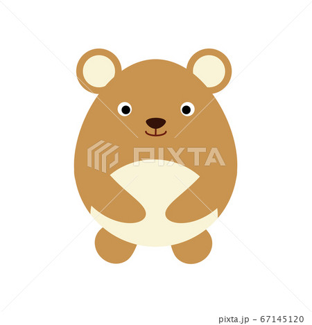 Cute flat design bear isolate on white background. Cute flat design bear isolate on white background. 67145120
