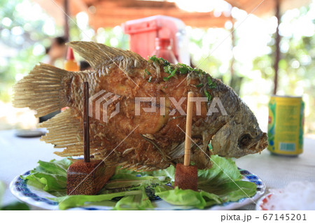 ベトナム料理 エレファントフィッシュ(象耳魚) メコンデルタ メコンクルーズ ベトナム料理 エレファントフィッシュ(象耳魚) メコンデルタ メコンクルーズ 67145201