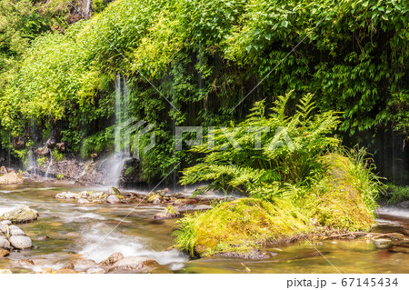 都留市夏狩湧水群太郎次郎滝 都留市夏狩湧水群太郎次郎滝 67145434