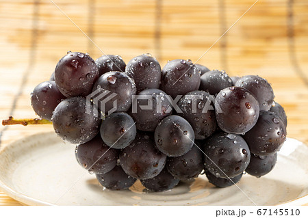 水滴のついた巨峰。背景すだれで夏イメージ。 水滴のついた巨峰。背景すだれで夏イメージ。 67145510
