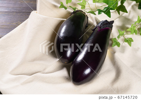 茄子 茄子 67145720