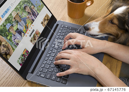 自宅のパソコンでペットと一緒に産直通販のサイトを見る女性手元 67145776