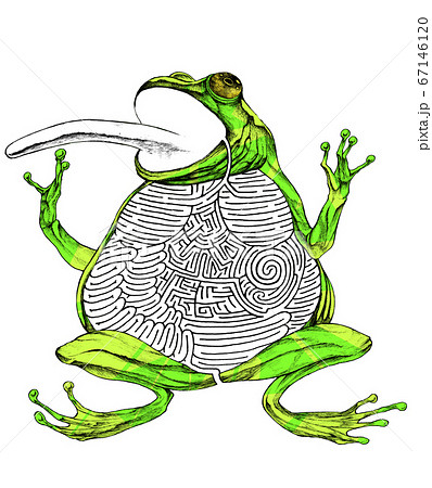 カエルの迷路のイラスト素材