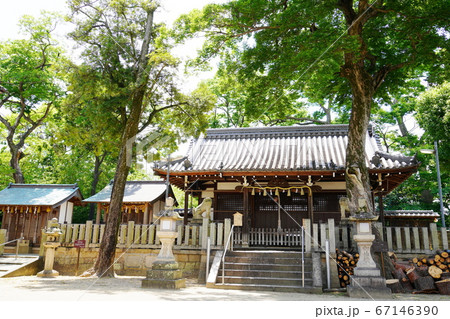 兵庫 宝塚 小浜宿 小浜皇大神社(初夏) 兵庫 宝塚 小浜宿 小浜皇大神社(初夏) 67146390