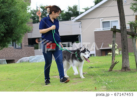 シベリアンハスキーと女性の写真素材