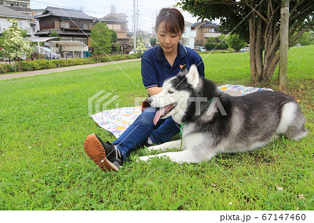 シベリアンハスキーと女性の写真素材