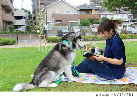 シベリアンハスキーと女性の写真素材