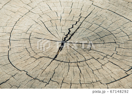 A Hires picture of a natural creation A Hires picture of a natural creation 67148292