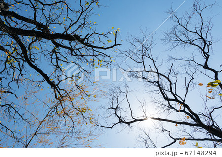 A collection of outdoor activity in the beautiful nature 67148294