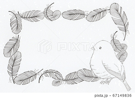 小鳥と羽根のフレーム 手描きイラストのイラスト素材