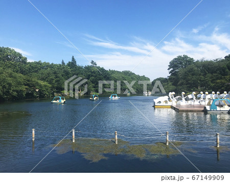井之頭公園 井之頭公園 67149909