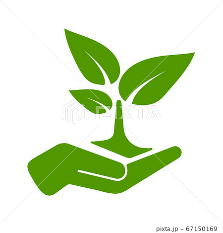 Green tree growing in hand vector illustration. Green tree growing in hand vector illustration. 67150169