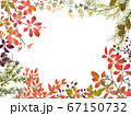 秋紅葉 67150732