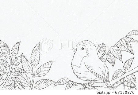木の枝と小鳥の手描きイラストのイラスト素材