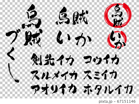 イカの品種などの筆文字セット 烏賊に関連する手書き文字のセットのイラスト素材