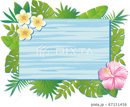 夏 植物 花 フレーム 飾り枠 木目 水色 コピースペースのイラスト素材