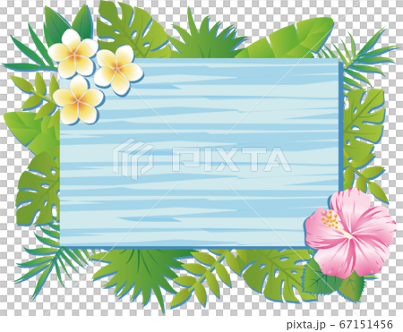 夏 植物 花 フレーム 飾り枠 木目 水色 コピースペースのイラスト素材