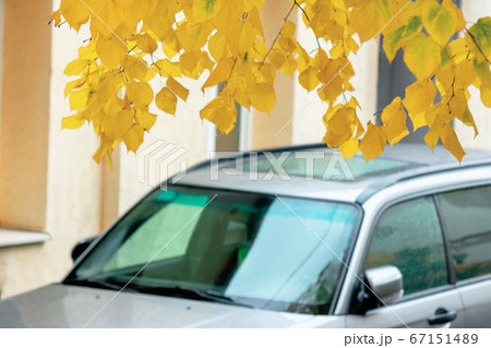 subaru suv on the pavement 67151489