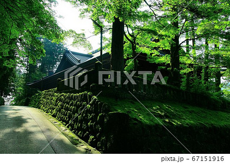 夏の日光・日光山輪王寺 67151916