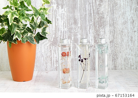 雑貨　ハーバリウムとアイビー 67153164