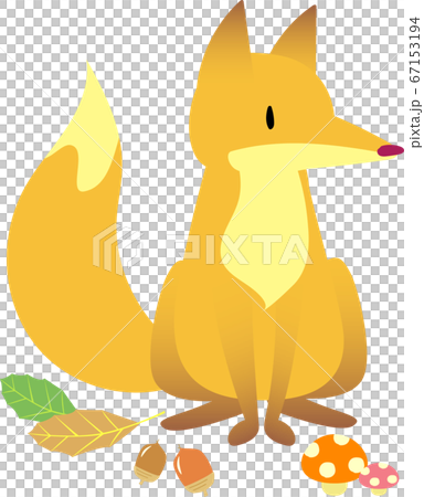 坐著的狐狸 坐著的狐狸 67153194