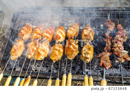 おいしい鳥の羽の野外焼き おいしい鳥の羽の野外焼き 67153648